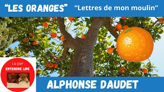 « LES ORANGES » Alphonse DAUDET [upl. by Ylrebmic]