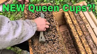 New Bees Get A Full Hive Inspection Nuc Follow Along Ep4  May2624 [upl. by Haelem]