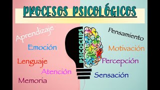 Procesos Psicológicos  ¿Qué es ¿Cómo funcionan EjemploResumenLibros [upl. by Ellan409]