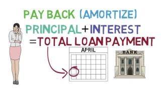 Loans 101 Loan Basics 13 [upl. by Otrebor]