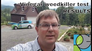 Horticultural vinegar weedkiller test results [upl. by Nivrac]