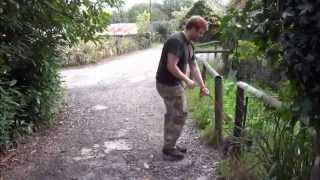 Raccoon Dog training at Dartmoor Zoo [upl. by Selwin]