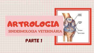 Articulação Veterinária Sindesmologia  PARTE 1  Estude Veterinário [upl. by Panter]