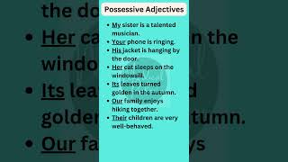 Possessive Adjectives in English Grammar shorts [upl. by Wunder]