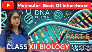 molecular basis of inheritance I Botany I 12th I NCERT Chapter 6 I CBSE NEET I CUET [upl. by Caplan]