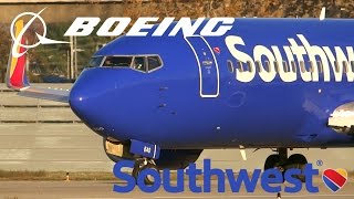 HD RARE Southwest Airlines 7373H4 N640SW New Livery Takeoff from San Jose International Airport [upl. by Sean645]