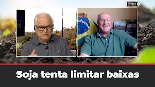 Soja tenta limitar baixas [upl. by Laumas]