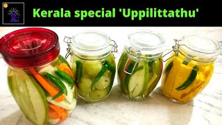 Kerala special Uppilittathu  Vegetables and fruits soaked in brine  Recipe in tamil [upl. by Lait]