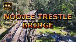 Noojee Trestle Bridge Victoria Australia [upl. by Atinehs]