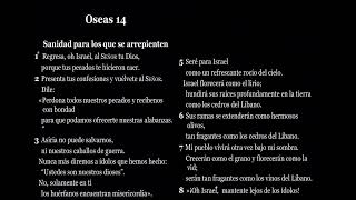 Oseas 14  Biblia Dramatizada NTV [upl. by Emoreg830]