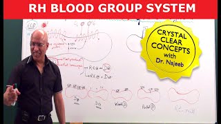 Rh Blood Group System  Dr Najeeb [upl. by Odine856]