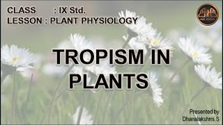 Movements in Plants  Tropism in plants  Plant Physiology for class 9 in tamil [upl. by Htepsle]