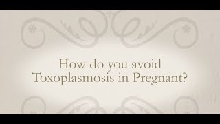 How do you avoid Toxoplasmosis in Pregnancy [upl. by Nnylatsirk]