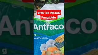 Antracol प्रीवेंटिव फफूंदीनाशक [upl. by Koy]