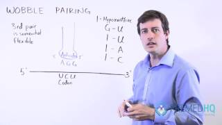 Wobble Pairing Study Tips [upl. by Ocisnarf]