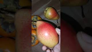 Persimmon n pear 🍐 fruits persimmonfruit pear healthyfruits shorts [upl. by Sidwell]