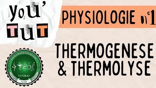 📚YOUTUT📚  PHYSIOLOGIE  LA THERMOGENESE ET LA THERMOLYSE [upl. by Halludba]