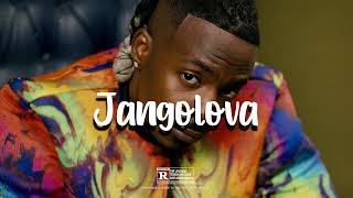 JANGOLOVA YOUNG JOHN X ASAKE X BURNA BOY AFROBEAT TYPE BEAT  AFROBEATS INSTRUMENTAL 2024 FREE [upl. by Nairam]