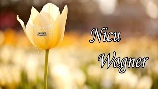 Nicu Wagner  Colaj cu cantari crestine noi [upl. by Anivlis834]