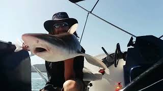 Knysna fishing  Target species is White Steenbras [upl. by Nahtannoj]