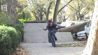 BMX Craig Passero  Whammo 2013 [upl. by Ahsaf]