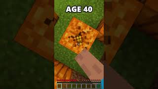 Minecraft Bases at Different Ages🤯 [upl. by Cuttler815]