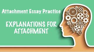 ESSAY PRACTICE  Explaining Attachment [upl. by Eelime]