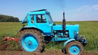 Belarus MTZ80 ploughing with Kverneland 3 furrow plow 2016 [upl. by Nolyad15]