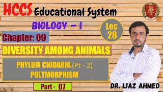 Phylum Cnidaria Pt2  Polymorphism  Part VII  Chapter 9  1ST YEAR  Dr IJAZ AHMED  LEC28 [upl. by Ettenajna371]