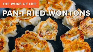 PanFried Wontons  Crispy and golden  An easy method to save old wontons [upl. by Shana470]