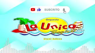 La Unica Tropical  Mix  DJ LULA  Partido En Dos Si Esta Casa Hablara Cual Adios Etc [upl. by Spiro]