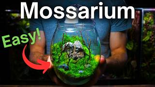 Creating a Moss Terrarium  Mossarium Tutorial [upl. by Llerrud182]