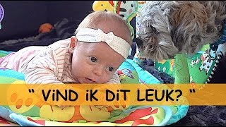 1STE X OP SPEELKLEED 😍 met WOEZEL🐶amp PiP🐶  Bellinga Familie Vlog 944 [upl. by Hras]