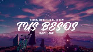 TUS BESOS ❣️ Reggaeton Romantico Dani RnB Video Lyric [upl. by Mixam]