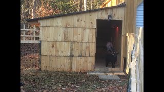 Woodworking Building a Dwarf Goat Shelter [upl. by Airual640]