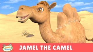 Jamel the Camel  Jamil and Jamila Songs for Kids [upl. by Placia]