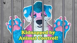 Furries getting banned in oklahoma schools [upl. by Fini]