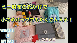 【バッグの中身】ロエベのお財布が大活躍👛 [upl. by Llenrup584]