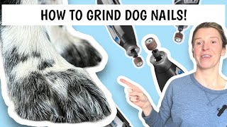 Nail Grinding 101 Expert Tips from a Professional Groomer [upl. by Kinsler]