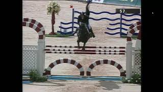 Diamant De SemillyJumping Final Classification 2002 FEI World Equestrian Games™ [upl. by Jeminah]