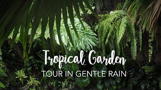 Tropical Forest Garden Tour with GENTLE RAIN for relaxing working sleeping [upl. by Nrubliw]