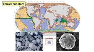 13  Deep sea sediments [upl. by Largent]