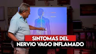 NERVIO VAGO INFLAMADO [upl. by Stevie]