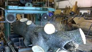 Homemade sawmill cutting Maple Log into live edge slabs Part 1 [upl. by Joo869]