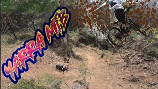 Yarra MTB Trails  Jumps [upl. by Bonacci]