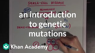 An introduction to genetic mutations  Biomolecules  MCAT  Khan Academy [upl. by Marlon427]