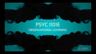 Observational Learning  Introduction to Psychology [upl. by Ettennan]