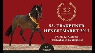 Trakehner Hengstmarkt 2017  Trailer der Junghengste [upl. by Hanus]