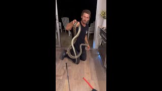 Snake catcher removes huge python that slithered under stove [upl. by Airamana]