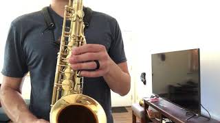 Gold Plated Selmer Modele 22 Alto Saxophone [upl. by Edithe]